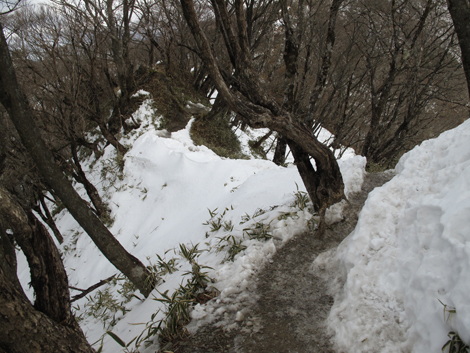 20170118hike (164)